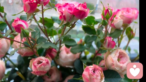 你的心事，有人慢慢听