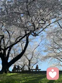 长期缺爱的人，往往在情绪、人际、自我认知、行为模式上会呈现出比较典型的特征，这些表现本质上是内心对爱与安全感极度匮乏