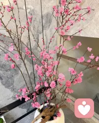 长期缺爱的人，往往在情绪、人际、自我认知、行为模式上会呈现出比较典型的特征，这些表现本质上是内心对爱与安全感极度匮乏