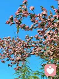 情绪会影响人的判断力，没有那个深思熟虑的决策是在愤怒或嘻哈中判断出来的！那些成功者都有一个特质，保持内心的平和与稳定，其外在表现的形为不苟言笑，以达到决策与判断力时刻在线