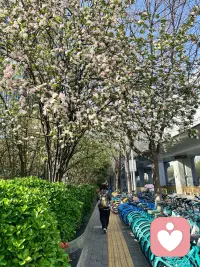 情绪会影响人的判断力，没有那个深思熟虑的决策是在愤怒或嘻哈中判断出来的！那些成功者都有一个特质，保持内心的平和与稳定，其外在表现的形为不苟言笑，以达到决策与判断力时刻在线