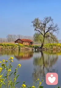 情绪会影响人的判断力，没有那个深思熟虑的决策是在愤怒或嘻哈中判断出来的！那些成功者都有一个特质，保持内心的平和与稳定，其外在表现的形为不苟言笑，以达到决策与判断力时刻在线