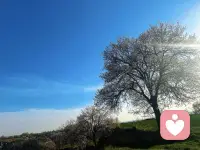 爱不是在伴侣身上，而是在你心里，你不是找到完美的人才幸福，而是你内心有创造幸福的能力，才在婚姻中感受到拥有幸福！婚姻的本质是恩义，不是激情！恩义是向内修心，激情是向外求的！现在的人是索取型的，把伴侣当成了情绪工具，幸福的供应商！换伴侣换不了自己的内心，心不改变结局一样！