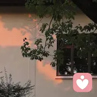 一张安静的房间、窗边阳光或深夜台灯的照片
· 或是一张简单的插画：一个人坐在角落，耳朵放大，嘴巴安静