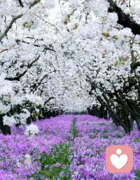 负债救赎：于泥泞中开出自愈的花

人生路上，总有人会不慎踏入负债的泥泞里。那些压在心头的账单，深夜里的焦虑，对未来的迷茫，像一层薄薄的阴霾，遮住了生活原本的光亮。可负债从不是人生的污点，而是一场温柔又深刻的自我救赎，让我们在跌撞中找回初心，在坚守中重拥生活的光。

不必困在自责的牢笼里，直面困境便是救赎的开端。谁都有过冲动消费、盲目抉择的时刻，不必揪着过去的失误反复苛责自己。放下逃避的念头，坦然梳理每一笔债务，列好清晰的还款清单，不慌不忙，一步一步慢慢来。承认当下的困境，不是软弱，而是与自己和解，更是重启人生的勇气。

救赎的路，从来都不孤单，也无需急功近利。戒掉无意义的攀比，收起浮躁的欲望，把日子过得简单踏实：精简开支，用心攒下每一笔钱，用双手的努力慢慢填补缺口。或许过程平淡，甚至有些辛苦，但每一次小小的还款，都是向自由迈进的一步；每一次坚持，都在积攒着走出阴霾的力量。

慢慢你会发现，这段负债的时光，教会我们的不只是还款，更是懂得节制、学会珍惜、扛起责任。那些熬过的夜晚，攒下的每一分钱，都在慢慢治愈曾经的慌乱，让内心变得愈发坚韧。

负债的泥泞终会褪去，自愈的花终将绽放。这场救赎，不仅是还清债务，更是找回那个踏实、笃定、充满希望的自己。往后余生，带着这份经历沉淀的从容，每一步都走得安稳，每一日都活得向阳。