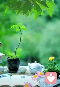 🌷共生关系中的恋人/伴侣，最终会被吞没于相互绞杀的痛里！乐在一时，痛在余生！
🌷终结共生关系，一定有撕心肺裂地痛！痛在一时，自由幸福在余生！
🌷表面是男女关系，根源上是与父母的关系，本质上是与自己的关系！
🌷穿越痛的迷雾，活出自己！配图