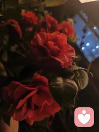  ✨ 每一份心事都值得被认真对待。
愿做你情绪的避风港，陪你梳理烦恼，治愈不安，慢慢找回内心的力量。配图