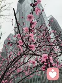 💌 倾听不是简单的听见，而是用心懂得。
不评判、不敷衍，用真诚与耐心，守护你的每一份情绪与温柔。配图