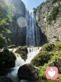 🌿 今天的倾听，像一场安静的陪伴。
有人说，被认真听见，就是最好的疗愈。
愿每个疲惫的灵魂，都能在这里被温柔接住。按这个内容生成图片配图