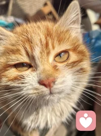 你是否也有这样的困扰？
孩子叛逆顶嘴、厌学躺平、沉迷手机，说再多都听不进去；
自己被育儿焦虑裹挟，情绪失控后又满心愧疚；
职场、人际、家庭关系里，总觉得沟通费力、不被理解。