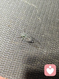 仔细一看还挺可爱的，你要乖乖长大，毕竟不见天日的一呆就是五年。配图