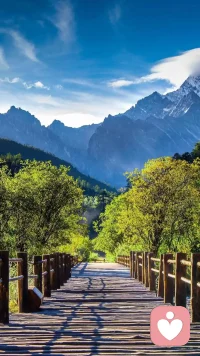 一切都要遵从自己的内心去做，哪怕是错的吸取经验也无悔