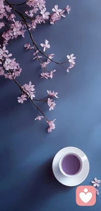 世间就算有神丹妙药，自己不相信或不认可会被它疗愈 那一切也就是徒劳配图