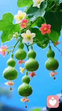 不管结果如何，过程只要尽力过、经历过、享受过、试错过总归是无憾的