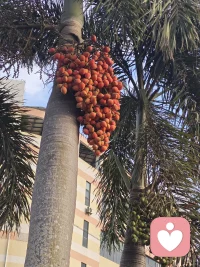 感谢给力平台
          谢文元
给力心理就是强，
五湖四海美名扬。
痴儿怨女齐相聚，
心师情主久坐堂。
倾诉宣泄情绪顺，
疏导催眠心敞亮。
感谢平台成人美，
天下无疾早预防。配图