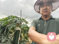 感谢给力平台
          谢文元
给力心理就是强，
五湖四海美名扬。
痴儿怨女齐相聚，
心师情主久坐堂。
倾诉宣泄情绪顺，
疏导催眠心敞亮。
感谢平台成人美，
天下无疾早预防。配图