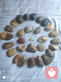 认知倾向调查


     一、当只有一个提升的位置时，你和几个同志的条件都差不多，但是这个位置最后被别人得到了，你怎么想？
     二、你把你总资产的百分之二十，投资给一个朋友的公司，你不参与经营，但是几年下来，基本赔光了，你将怎么想，怎么办？
     三、你觉得你的配偶怎样，是否很满意？她还需要再哪些方面改变？
     四、你对你的父母是什么样的感觉？你的父母和其他父母比起来有哪些不足？
     五、对你的孩子怎么评价？希望他（她）将来成为什么样的人，你要求他（她）现在应该怎么做？你最不能接纳的是什么？
     六、婚外的异性对你有意思，而且也是你喜欢的类型，你将怎么处理？
     七、当你做一件事情，被别人误会了，你会怎么办？当你解释后别人仍不理解你时怎么办？你的情绪会怎么样？
     八、你看到别人领着一只宠物（可能是狗、猫，猪、还可能是其他动物）非常亲昵，爱称儿子。你会有什么样的情绪反应？
     九、当你用了半个月的工资，买了一件衣服。穿了几天发现它是假货时你会怎么处理？如果你去找商家，商家告诉你他是按厂家定价销售，如有问题得找厂家，这时你怎么处理？
     十、当有个老人，遇到困难向你求助时，你会怎么做？
     根据求助者对以上这十项内容的回答，咨询师可以和求助者一同分析求助者的价值观和个人信念，帮助求助者重新建构新的思维和行为模式。