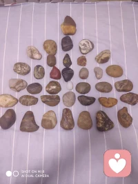 认知倾向调查


     一、当只有一个提升的位置时，你和几个同志的条件都差不多，但是这个位置最后被别人得到了，你怎么想？
     二、你把你总资产的百分之二十，投资给一个朋友的公司，你不参与经营，但是几年下来，基本赔光了，你将怎么想，怎么办？
     三、你觉得你的配偶怎样，是否很满意？她还需要再哪些方面改变？
     四、你对你的父母是什么样的感觉？你的父母和其他父母比起来有哪些不足？
     五、对你的孩子怎么评价？希望他（她）将来成为什么样的人，你要求他（她）现在应该怎么做？你最不能接纳的是什么？
     六、婚外的异性对你有意思，而且也是你喜欢的类型，你将怎么处理？
     七、当你做一件事情，被别人误会了，你会怎么办？当你解释后别人仍不理解你时怎么办？你的情绪会怎么样？
     八、你看到别人领着一只宠物（可能是狗、猫，猪、还可能是其他动物）非常亲昵，爱称儿子。你会有什么样的情绪反应？
     九、当你用了半个月的工资，买了一件衣服。穿了几天发现它是假货时你会怎么处理？如果你去找商家，商家告诉你他是按厂家定价销售，如有问题得找厂家，这时你怎么处理？
     十、当有个老人，遇到困难向你求助时，你会怎么做？
     根据求助者对以上这十项内容的回答，咨询师可以和求助者一同分析求助者的价值观和个人信念，帮助求助者重新建构新的思维和行为模式。