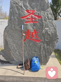 行禅
千里滨城一夜还，车轮飞转人安然。睡在大连醒西站，樱花换成金翘连。人生称意多行乐，阅尽春色嗨翻天。见山见水见自在，修心养性做神仙。