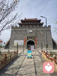 行禅
千里滨城一夜还，车轮飞转人安然。睡在大连醒西站，樱花换成金翘连。人生称意多行乐，阅尽春色嗨翻天。见山见水见自在，修心养性做神仙。