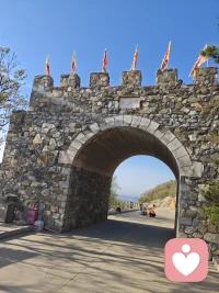 行禅
千里滨城一夜还，车轮飞转人安然。睡在大连醒西站，樱花换成金翘连。人生称意多行乐，阅尽春色嗨翻天。见山见水见自在，修心养性做神仙。