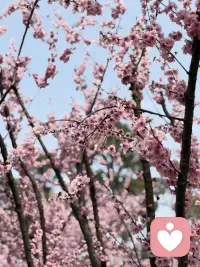 你说我来听配图