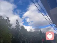 人生不过葱姜蒜，葱明一点，姜就一下，不行就蒜了，生活如此不行，再加点料酒去腥。配图