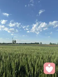 有人给你转账你不收，有人想见你你不见，有人想对你好，你是一点机会都不给人家。可有的人给你画饼，你吃的比谁都香，有的人明明什么都没做，你却句句都是我愿意配图