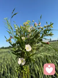 记住：
除了生病，
你所有的痛苦，
都不是真实存在，
而是你的价值观带来的。内心一旦平静。
外界自然鸦雀无声。不跟自己较劲。
才是顶级的通透配图