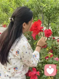 与花共舞   与花相伴配图