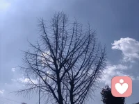 每个人都会有撑不住的瞬间，
难过、焦虑、迷茫、没人理解，都很正常。
不用硬扛，也不必假装坚强。
这里是安全的倾听空间，
不评判、不打断、全程保密，
愿意安安静静听你把心事说完，
陪你慢慢把情绪理顺。
愿你被温柔对待，也能好好拥抱自己🌿配图