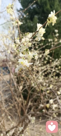 真正的看见自己，是走向光明的开始