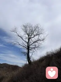 ⛰️𝐺𝑜 ℎ𝑖𝑘𝑖𝑛𝑔⸝⸝🎒 少与人纠缠👣，多看看大自然🌳