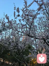 相遇的意义在于照亮彼此，谢谢你的出现！配图