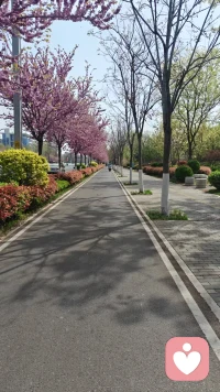 探索内心深处的宁静，聆听自我配图