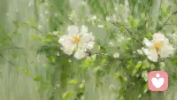 每一天，都给自己一个温暖的肯定，如同为心灵披上最坚韧的铠甲，助你穿越迷雾，始终看见前方属于自己的光。配图
