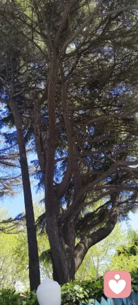 成功不是先有钱，而是先有胆。什么都不敢尝试的人，注定要穷一辈子。汽车停在家里最安全，但那不是买车的目的;人躺在被窝里最舒服，但那不是人生的意义。
不是你的能力，决定了你的命运;而是你的决定，改变了你的命运。任何事情想都是问题，做才是答案;站着不动，永远都只是观众。