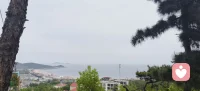 心理咨询不是“治病”，是给自己的心灵做一次温柔的按摩。那些紧绷的神经，那些拧成结的情绪，在慢慢放松的过程中，找到了和解的出口。