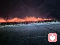 内心强大，才是治愈一切的良药
很多人被焦虑裹挟，习惯在男女情感中寻找安全感，把喜怒哀乐寄托在他人身上，在患得患失中不断内耗。殊不知，向外求索的安稳终究短暂，唯有向内扎根，才能真正抵御人生的风雨。
作为心理咨询师，我深知多数情绪困扰，根源在于自我内核不稳。与其在关系中纠结拉扯，不如专注自我成长，修炼强大内心。学会接纳情绪、正视焦虑，不被过往牵绊，不被未知恐惧，把精力放在提升自己上，你会发现，当内心足够丰盈笃定，便不再需要依赖他人确认价值。
真正的成长，是与自己和解，做情绪的主人。我将用专业的心理学知识，帮你梳理情绪卡点，走出内耗困境，构建稳定强大的内心世界，摆脱焦虑与情感束缚。
若你正深陷迷茫、被焦虑困扰，不必独自硬扛。我愿陪你疗愈成长，活成独立从容、自带光芒的自己，开启全新的人生状态。