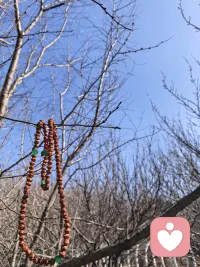 春天的生机提醒我们，成长本就循序渐进，不必苛责自己。爱自己不是放纵，而是懂得安抚焦虑、尊重需求，像呵护新芽般善待内心。允许自己缓慢变好，在春风里放下内耗，与自己温柔和解。这份向内的关照，会让心灵如春日草木般舒展，积蓄温暖与力量，从容奔赴生活。
 慢慢的 慢慢的