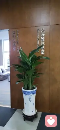 清晨的阳光温柔洒落，新的一天悄悄开启，不必追赶匆忙，不必纠结过往，带着平静与期待，认真过好当下的每一刻，给自己一个微笑，对生活说声早安，愿你眼里有光，心中有爱，步履从容，万事顺意，在平凡的日子里，收获属于自己的小温暖与小美好。配图