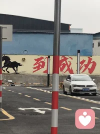 允许一切发生，也允许自己慢慢变好。配图