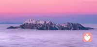 不必羡慕别人，专注做好自己，坚持下去，你也会闪闪发光。配图