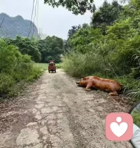 我是在想到底捡呢，还是捡呢？😂配图