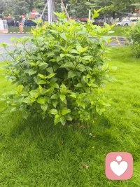 恋爱从来不是一时的心动与新鲜感，而是一场需要用心、用智慧经营的双向奔赴，很多人误以为相爱就能抵挡一切，却在相处中逐渐疲惫、争吵不断，最终让原本炙热的感情慢慢降温。

真正健康的恋爱，既要有本能的喜欢，更要有清醒的认知和主动的经营，掌握正确的恋爱方法，才能让感情在岁月里愈发醇厚。配图