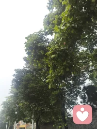 真正的爱情从来不是一个人的独角戏，而是两个人的共同努力。感情里最忌讳的，就是一方拼命付出，另一方理所当然地接受，久而久之，付出的人会积累满失望，接受的人会逐渐麻木，这段关系也就失去了平衡。配图