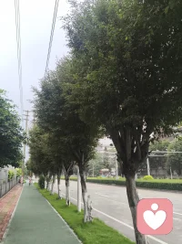 情感的本质是价值匹配与情绪共鸣，人与人能否长久相处，不在于一时心动，而在于三观契合、情绪稳定、懂得包容，短暂的好感容易产生，长久的珍惜却需要克制、责任和边界感的多数感情走散，不是不爱，而是不懂经营、不愿退让、缺少换位思考，任由消耗消磨掉最初的真心。配图