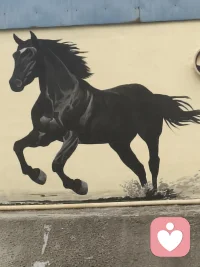 看起来就是霸气