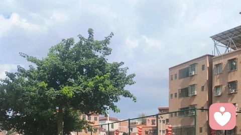 婚姻挽回：破镜重圆，守住亲密的归途