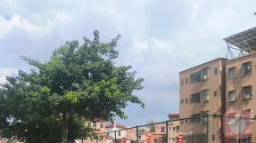 婚姻挽回：破镜重圆，守住亲密的归途